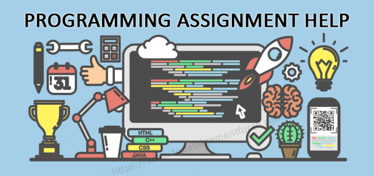 pay for programming assignment