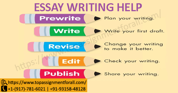 guides to good essay writing primary 6
